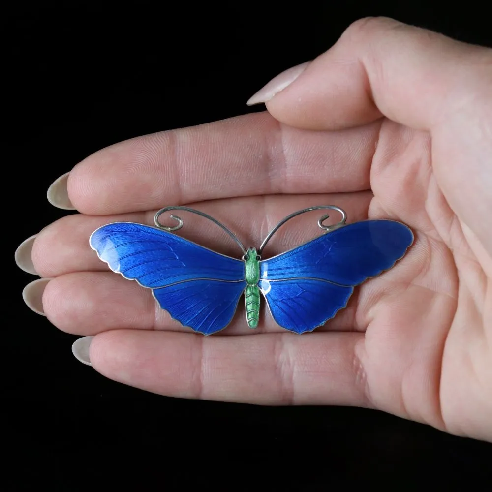 Antique Victorian Enamel Butterfly Brooch Silver Circa 1900