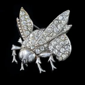 Antique Victorian Paste Bee Brooch Silver Circa 1900