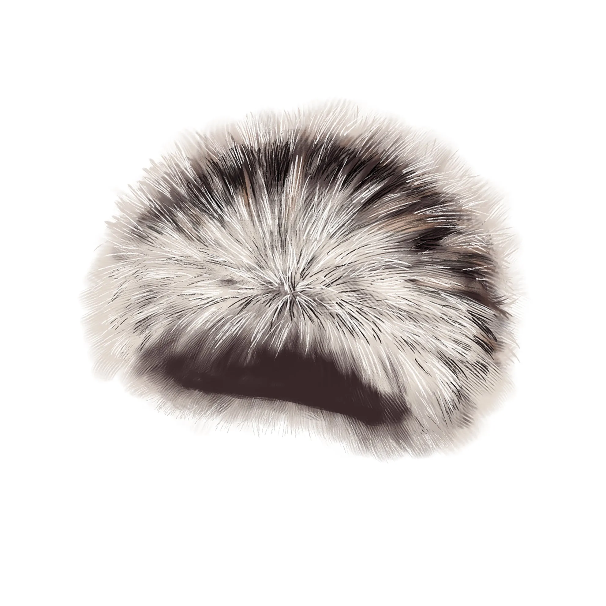 Faux Fur Hat