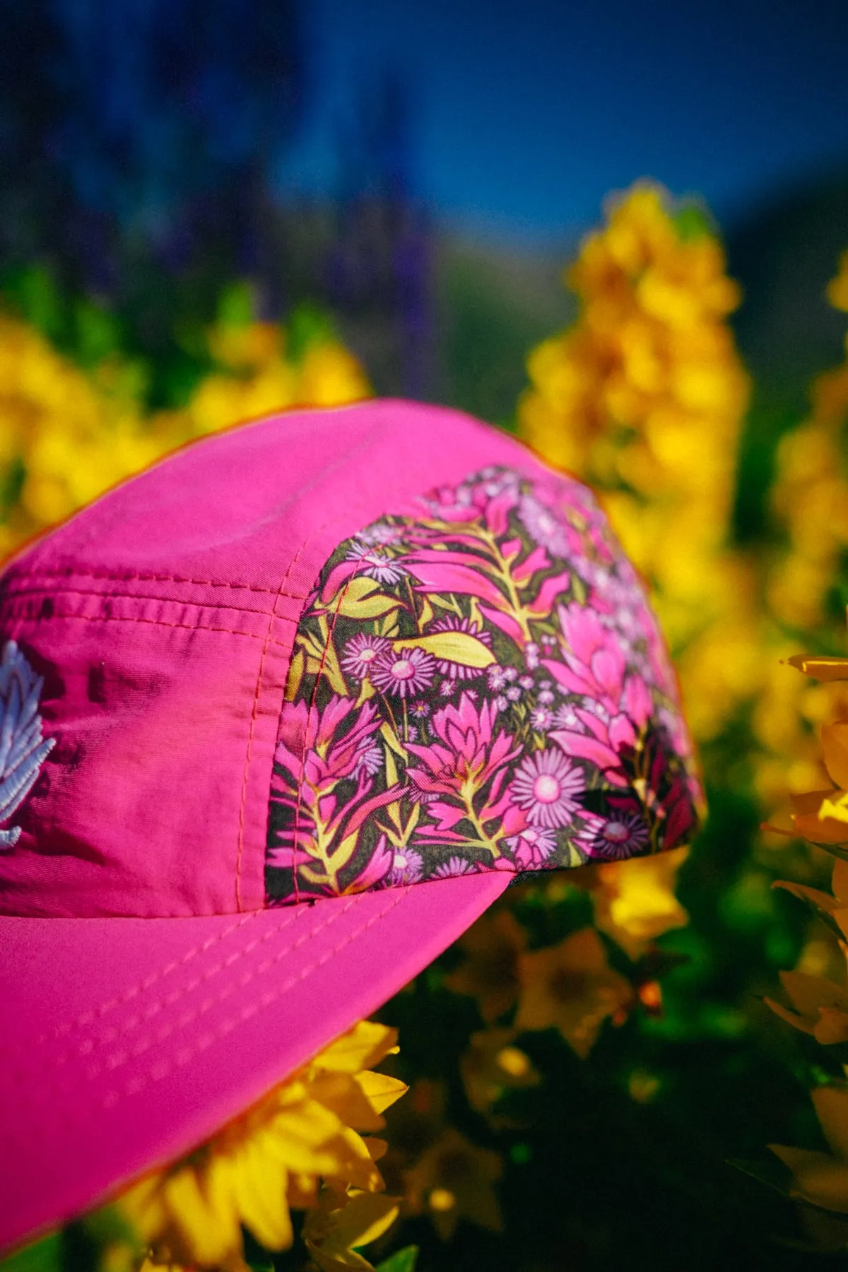 Paintbrush   Asters // 5 Panel Hat