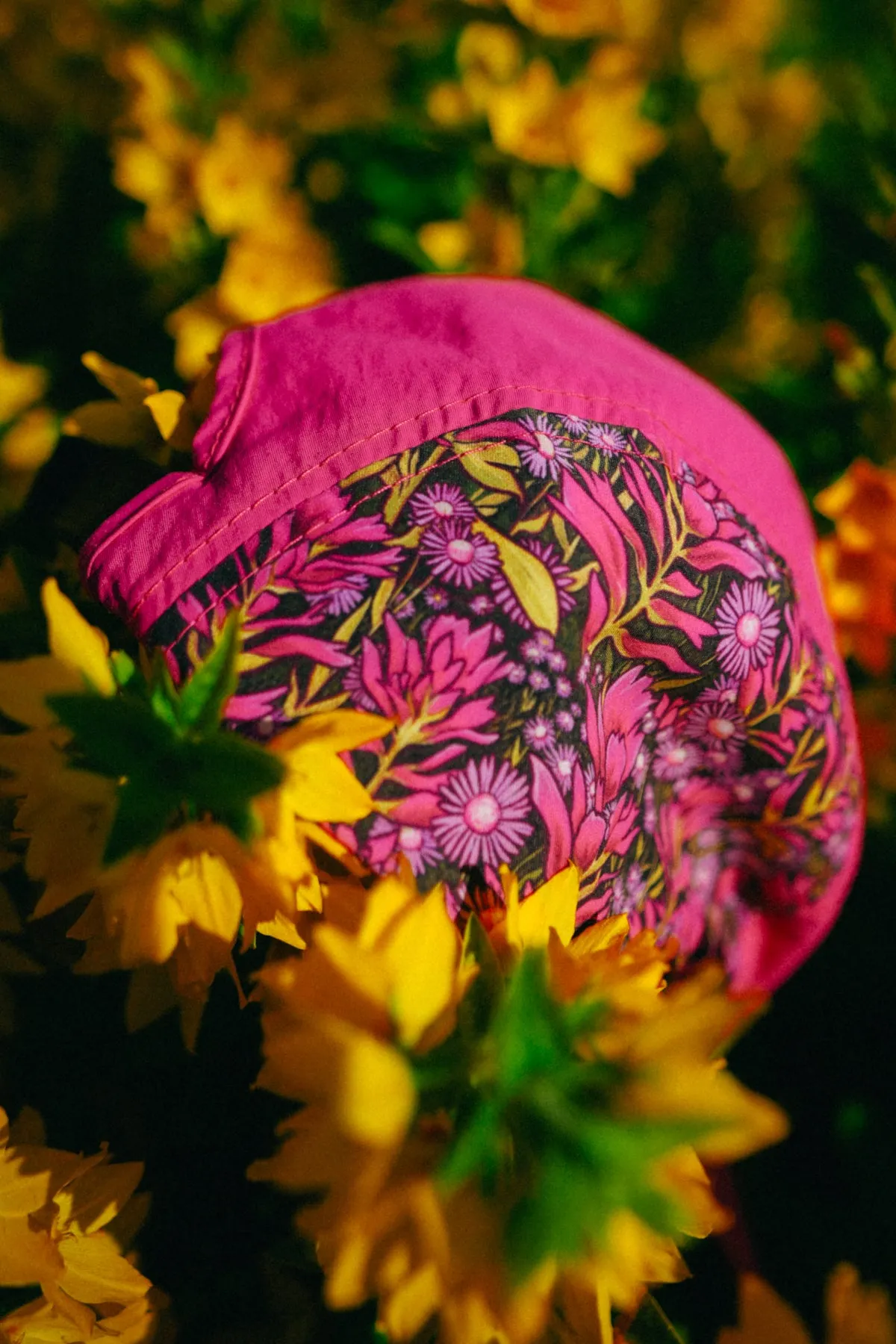 Paintbrush   Asters // 5 Panel Hat