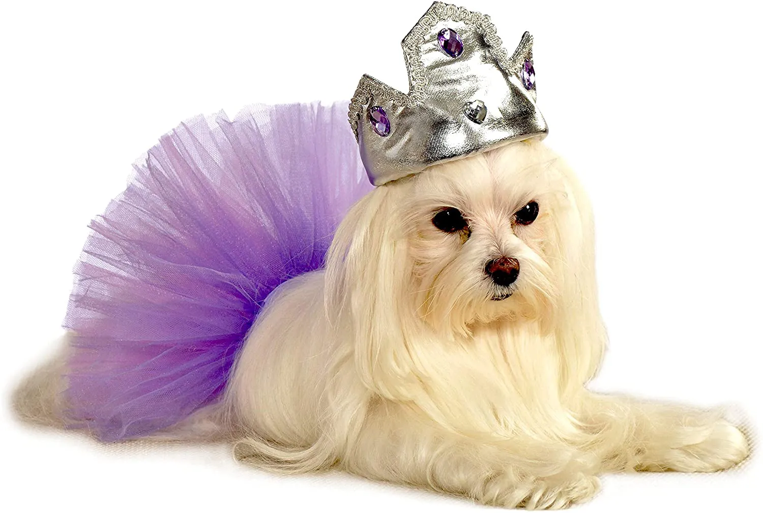 Rubies Silver Tiara with Purple Stones Pet Costume Accessory