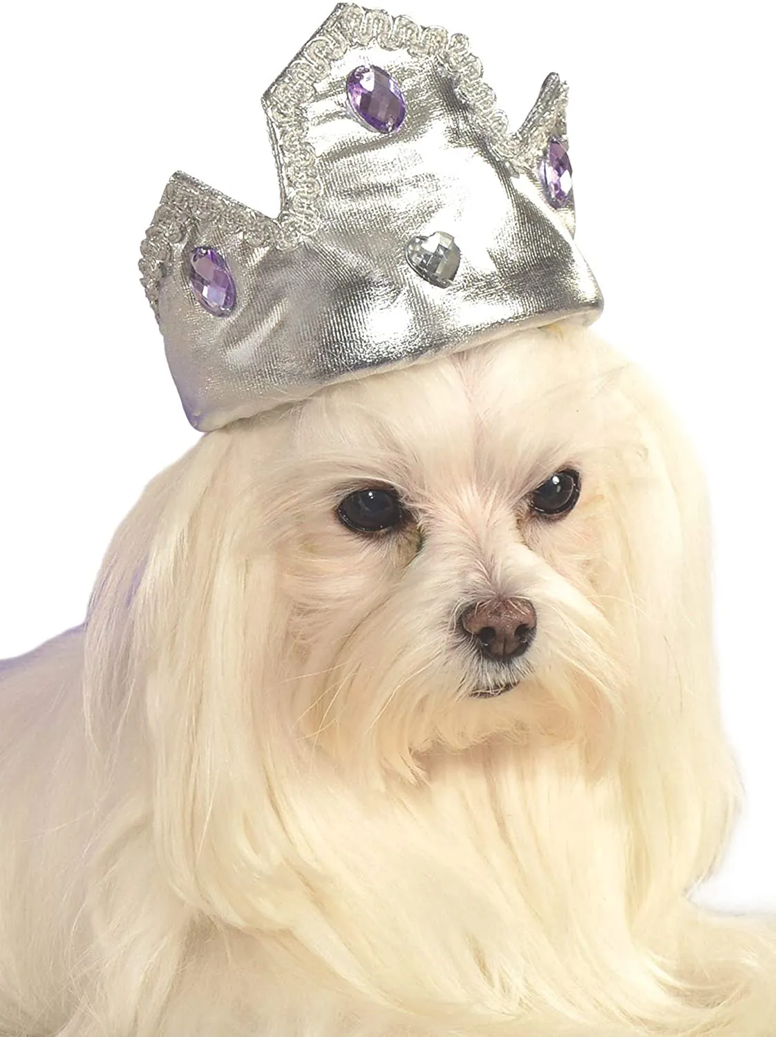 Rubies Silver Tiara with Purple Stones Pet Costume Accessory